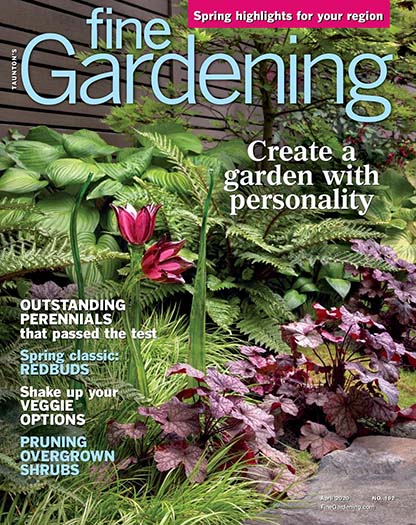Expert Reviews: Which Gardening Magazine Subscription Is Right For You?